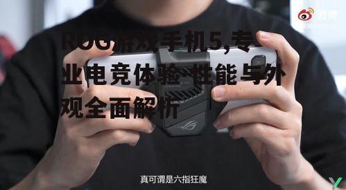 ROG游戏手机5,专业电竞体验-性能与外观全面解析