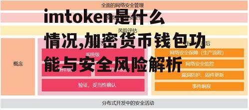 安全漏洞与常见风险分析