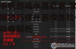 三、游戏设置优化