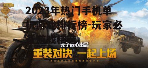 四、竞技射击游戏:《和平精英》