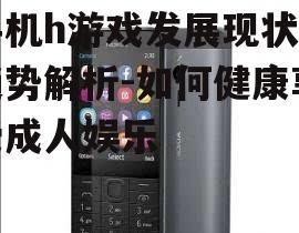 手机h游戏发展现状与趋势解析-如何健康享受成人娱乐