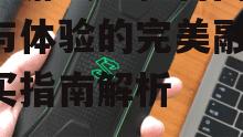 黑鲨游戏手机官网,性能与体验的完美融合-购买指南解析