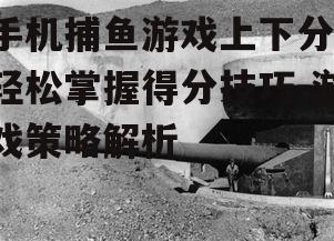 二、选择合适的炮台与炮弹