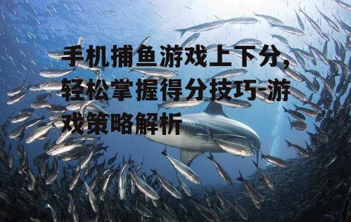 三、掌握鱼群活动规律