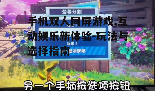 二、如何选择优秀的双人同屏游戏