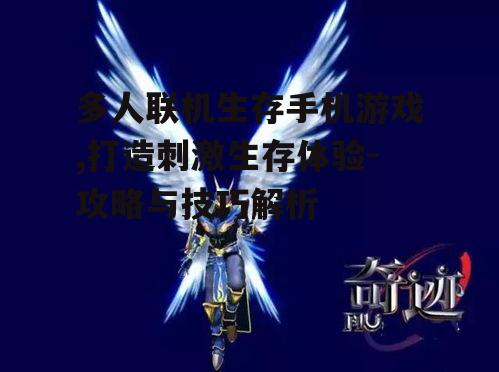 三、如何提升游戏体验