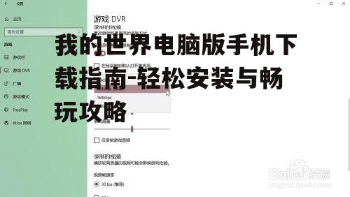 四、配置游戏设置与控制