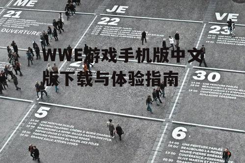 四、如何提升游戏体验