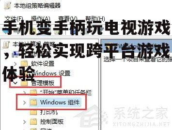四、游戏兼容性与性能优化