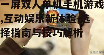 一屏双人单机手机游戏,互动娱乐新体验-选择指南与技巧解析