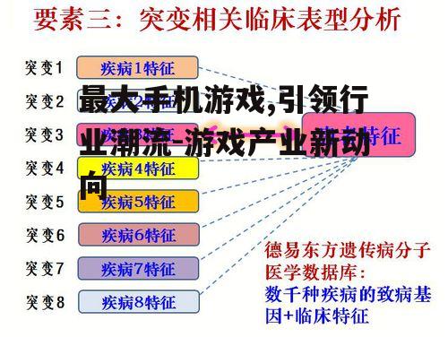 三、成功因素分析