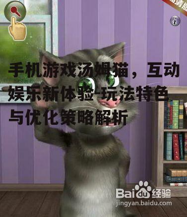二、汤姆猫游戏的玩法特色