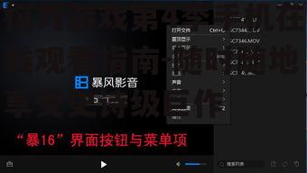 三、了解播放器功能提高观看体验