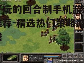二、经典回合制游戏推荐
