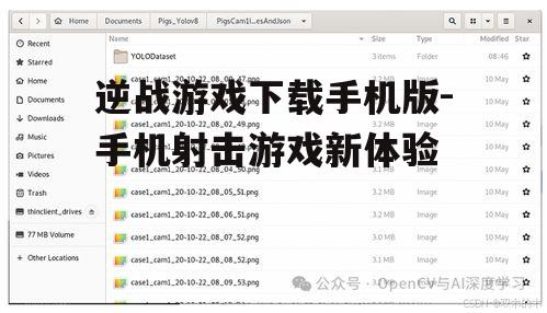 四、游戏操作与优化