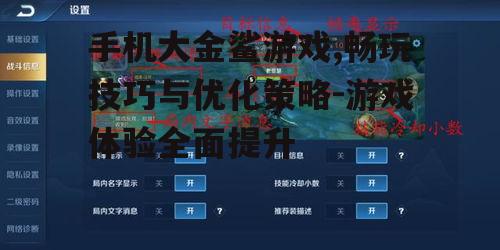 三、优化游戏体验的技巧分享