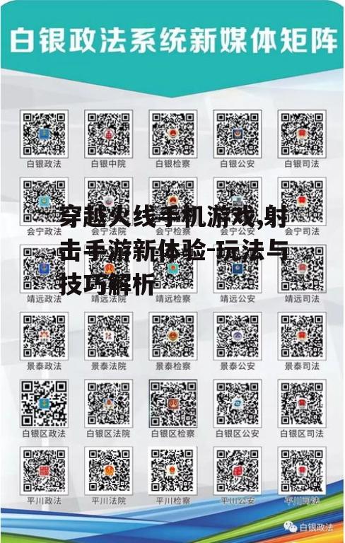三、游戏优化与配置要求