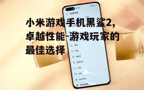 三、黑鲨2的游戏体验