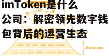 开发者生态与商业拓展布局