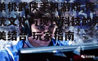 二、如何选择优质的单机武侠手机游戏