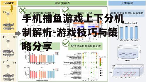 二、上下分机制的重要性