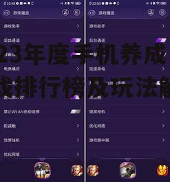 二、养成要素分析:如何提升游戏体验