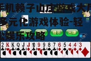 手机赖子山庄游戏大厅,多元化游戏体验-轻松娱乐攻略