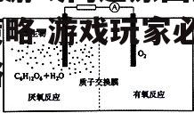 四、网络连接问题