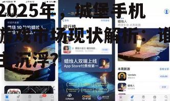 2025年,城堡手机游戏市场现状解析:谁主沉浮?