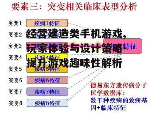 三、经营策略的深度分析