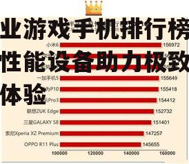 三、排行榜前三名:性能与价格的平衡