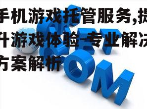 四、手机游戏托管服务的未来趋势
