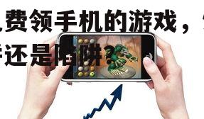 二、免费领手机游戏的风险
