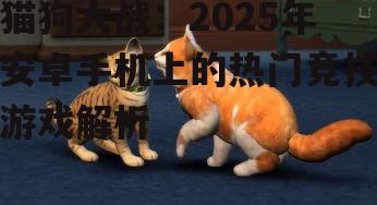 猫狗大战：2025年安卓手机上的热门竞技游戏解析
