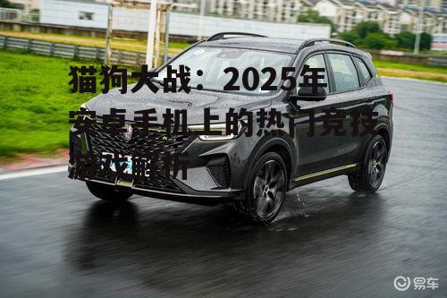 二、安卓手机上的猫狗大战:性能与体验