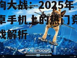 三、猫狗大战:未来展望与挑战