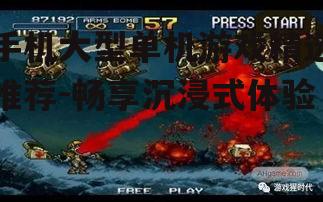 二、热门大型单机游戏盘点