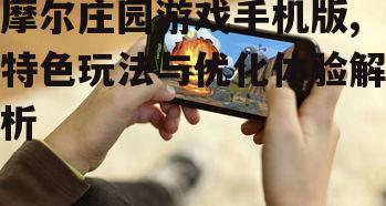 三、手机版游戏优化建议