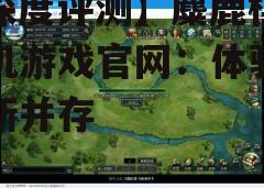 三、游戏体验与优化