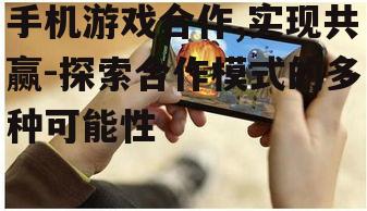 四、手机游戏合作中的挑战与应对
