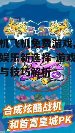 手机飞机免费游戏,轻松娱乐新选择-游戏攻略与技巧解析