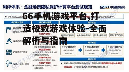 四、66平台的安全与隐私保护