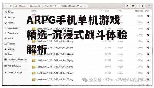四、游戏操作与优化