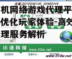 手机网络游戏代理平台，优化玩家体验-高效代理服务解析