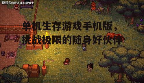 单机生存游戏手机版，挑战极限的随身好伙伴