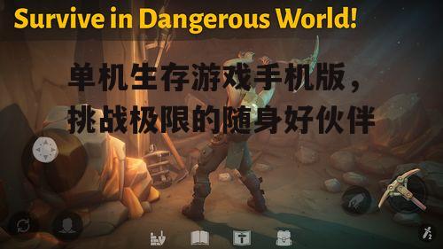 四、单机生存游戏的策略与技巧