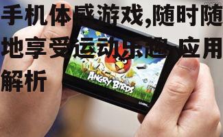 二、流行的手机体感游戏介绍
