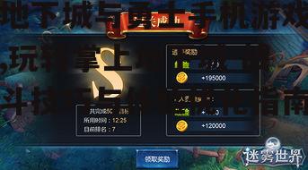四、团队协作与副本攻略