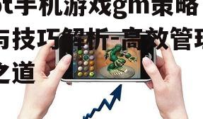 二、gm在bt手机游戏中的权限与责任