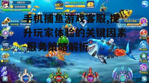 四、手机捕鱼游戏客服的培训与提升